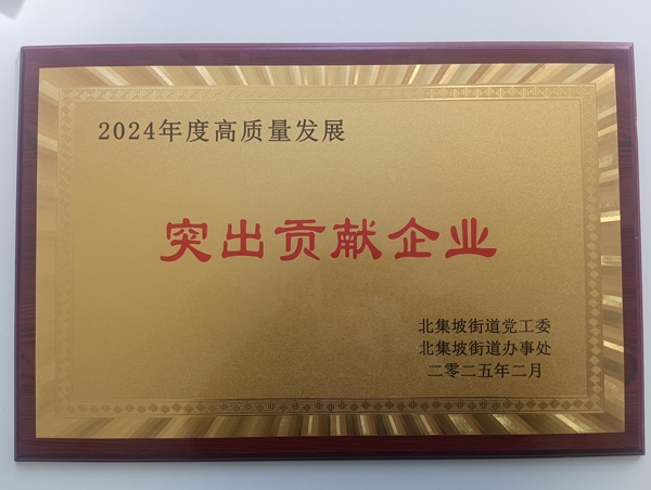 2024年度突出貢獻(xiàn)企業(yè)